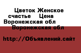 Цветок Женское счастье. › Цена ­ 200 - Воронежская обл.  »    . Воронежская обл.